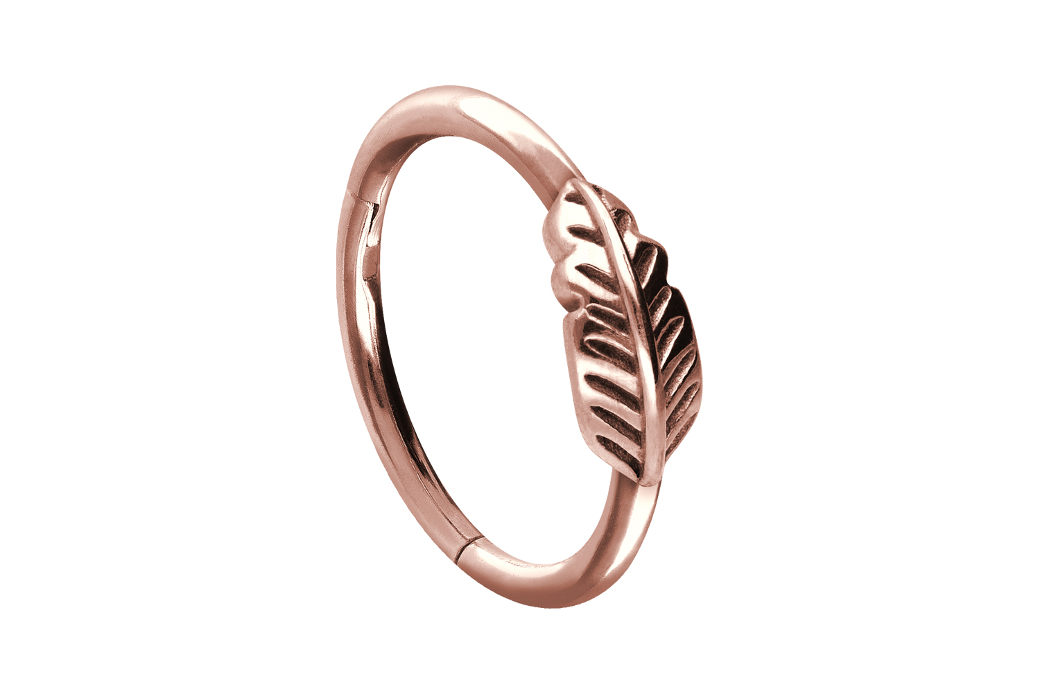 Chirurgenstahl Segmentring Clicker Piercing FEDER